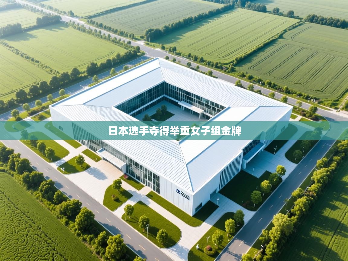 开云体育直播平台-日本选手夺得举重女子组金牌  第4张