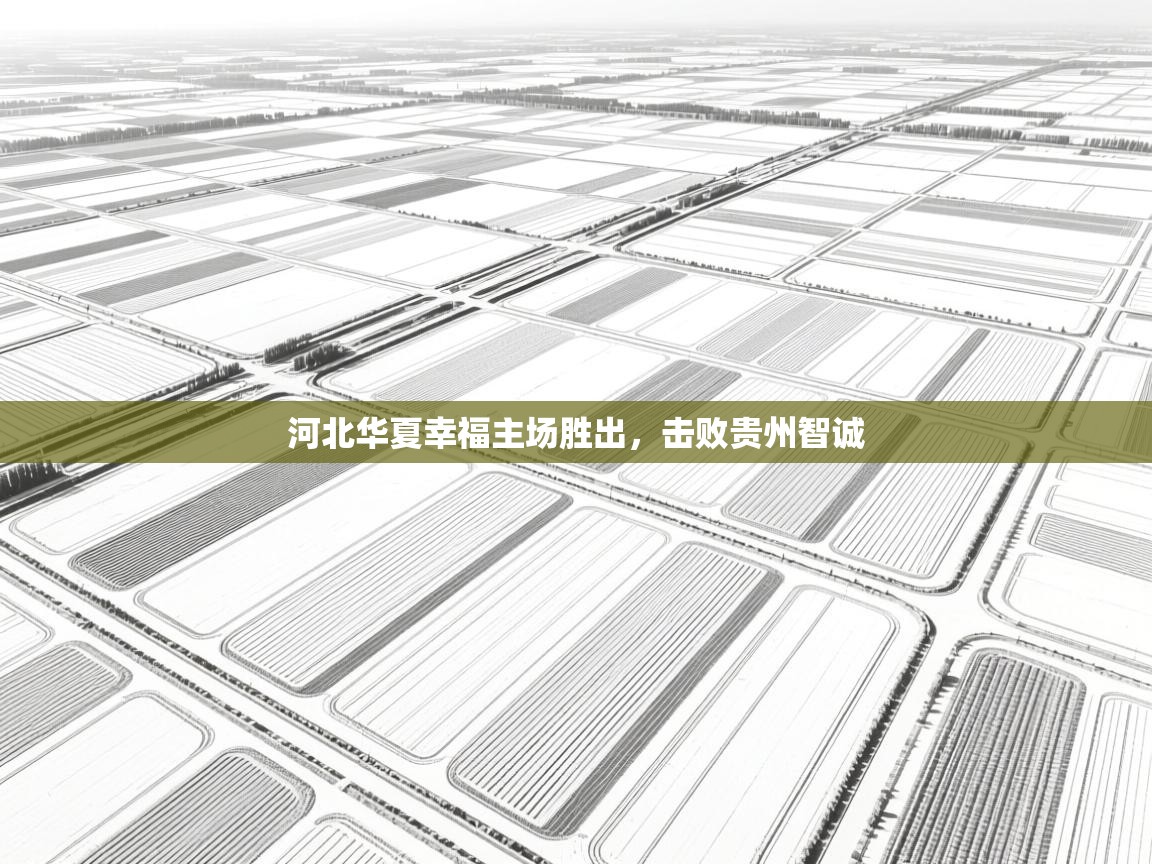 云开体育app登录入口-河北华夏幸福主场胜出,击败贵州智诚 第1张