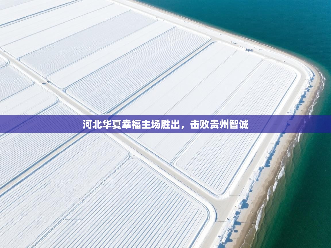 云开体育app登录入口-河北华夏幸福主场胜出,击败贵州智诚 第3张