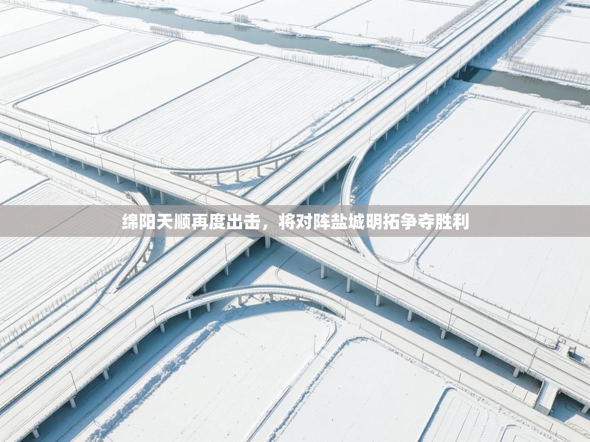 开云体育登录入口网址-绵阳天顺再度出击，将对阵盐城明拓争夺胜利  第2张